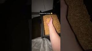 Video post by @planters on YouTube