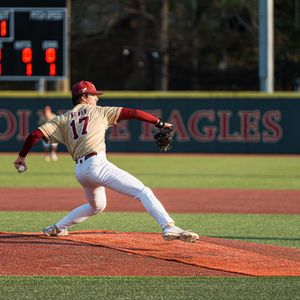 Image post by @bcbirdball on Instagram