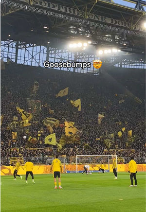 Video post by @bundesliga on TikTok
