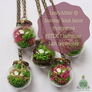 Image post by @leafyaffair on Instagram