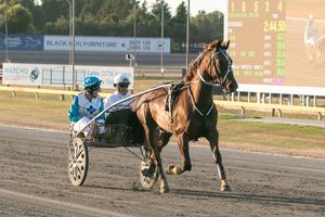 Image post by @nzhorseambulancetrust on Facebook