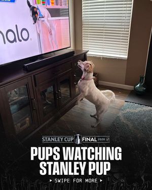 Image post by @nhl on Instagram