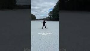 Video post by @bostonwithemily on YouTube