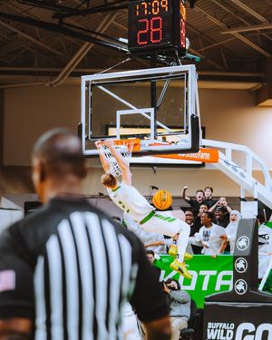 Image post by @tielerfriedline on Instagram