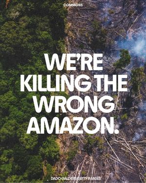 Image post by @green.anarchist on Instagram