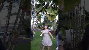 Video post by @strivetobe on YouTube