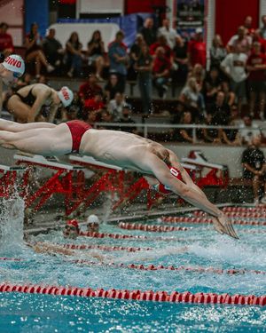 Image post by @packswimdive on Instagram