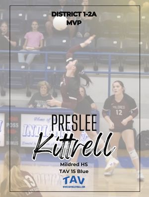 Image post by @tavvolleyball on Instagram