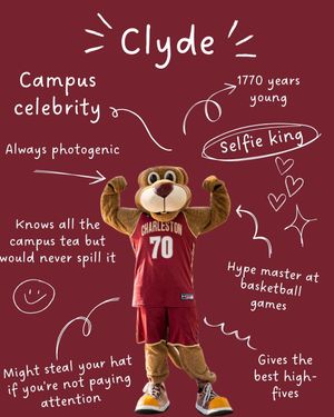 Image post by @collegeofcharleston on Instagram