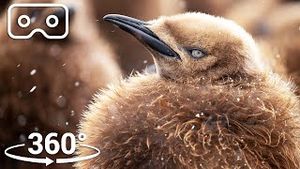 Video post by @bbcearth on YouTube