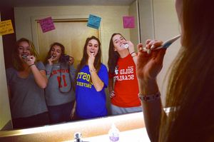 Image post by @terrierfh on Instagram
