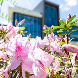 Image post by @ufstudentlife on Instagram