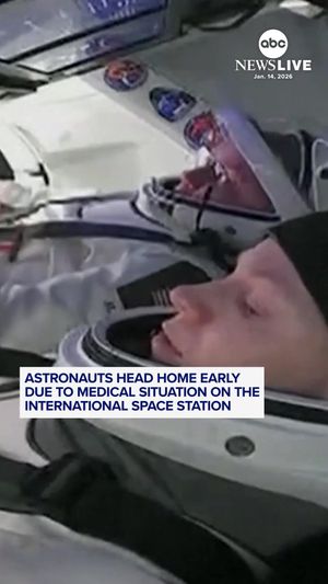 Video post by @abcnewslive on TikTok