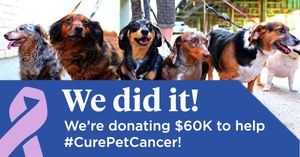 Image post by @company/nationwidepet on LinkedIn