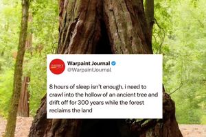 Image post by @envypillow on Instagram