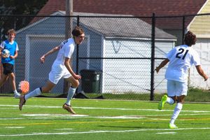 Image post by @saubees on Instagram