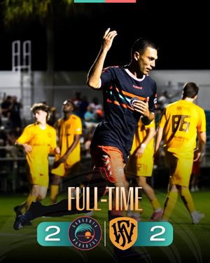 Image post by @sarasotaparadise on Instagram