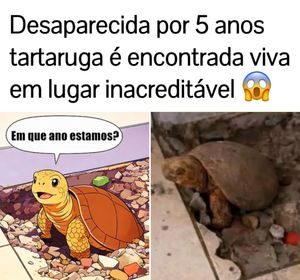 Image post by @curtematogrosso on Instagram