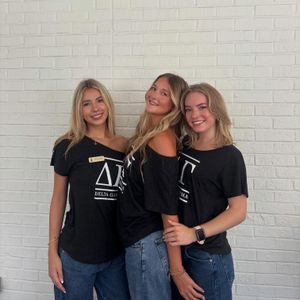 Image post by @deltagammafsu on Instagram