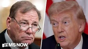 Video post by @msnbc on YouTube