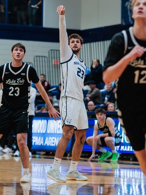 Image post by @nutimberwolves on Instagram