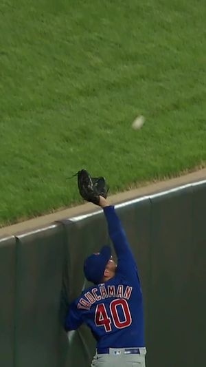 Video post by @cubs on TikTok