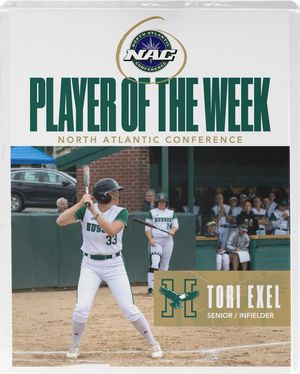 Image post by @hussonsoftball on Instagram