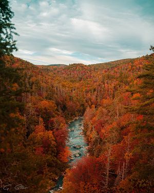 Image post by @g.starcreative on Instagram