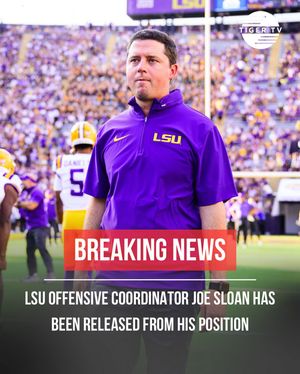 Image post by @lsutigertv on Instagram