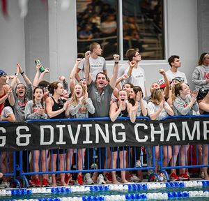 Image post by @spiderswimdive on Instagram