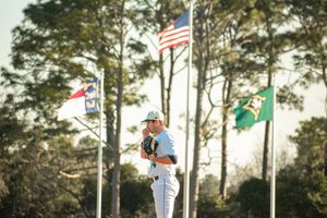 Image post by @theseahawkperch on Instagram