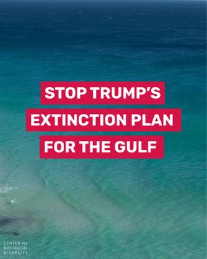 Image post by @centerforbiodiv on Instagram