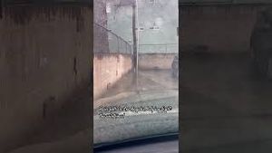 Video post by @thomasfarrenkopf7292 on YouTube