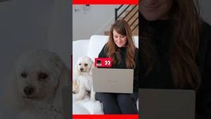 Video post by @jennaezarik on YouTube
