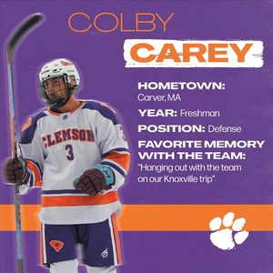 Image post by @clemsonicehockey on Instagram