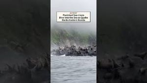 Video post by @today on YouTube