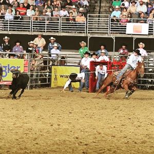 Image post by @prca_prorodeo on Instagram