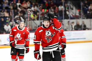 Image post by @ohlicedogs on Instagram