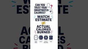Video post by @floridainternational on YouTube