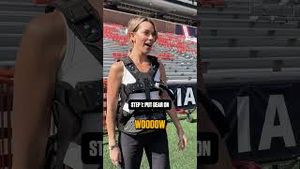 Video post by @cfbonfox on YouTube