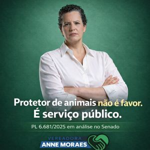 Image post by @annemoraesvereadora on Instagram