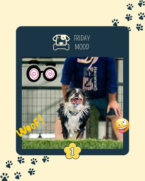 Image post by @saintroccostreats on Instagram