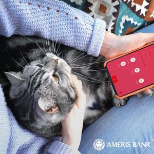 Image post by @amerisbank on Instagram