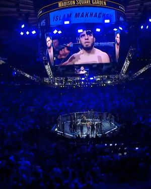 Image post by @ufc_brasil on Instagram