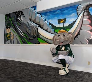 Image post by @Stomper00 on Twitter