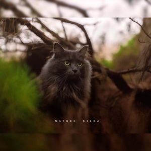 Image post by @g.starcreative on Instagram