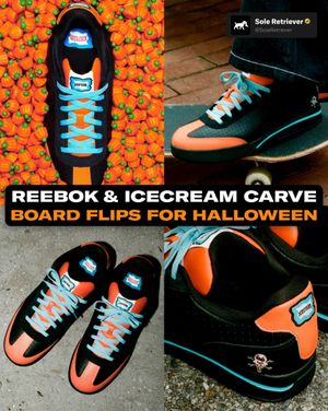 Image post by @soleretriever on Instagram
