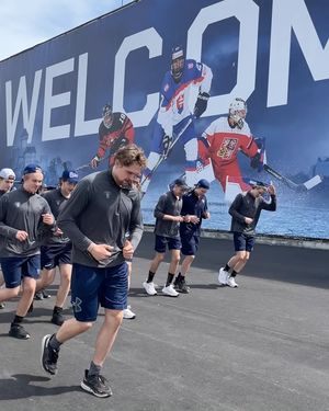 Image post by @leijonatfi on Instagram