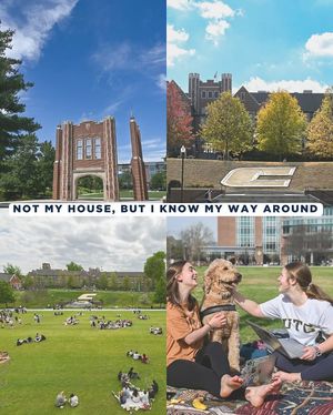 Image post by @utchattanooga on Instagram