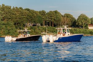 Image post by @islandcovemarinact on Instagram